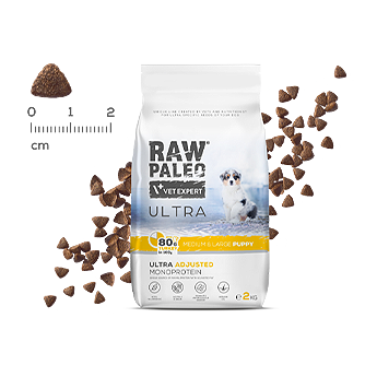 Raw Paleo Ultra Puppy Medium/Large Turkey sausas maistas jauniems vidutinių/didelių veislių šuniukams su kalakutiena 10kg